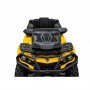 Винос радіатора для квадроциклів Can-am Outlander 500 650 800 850 1000 G2 (2012 +)