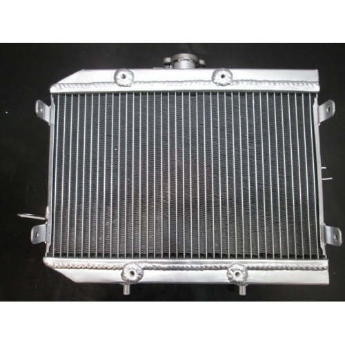 Радіатор для квадроцикла Honda Rincon TRX 650 680 2003-2018 img