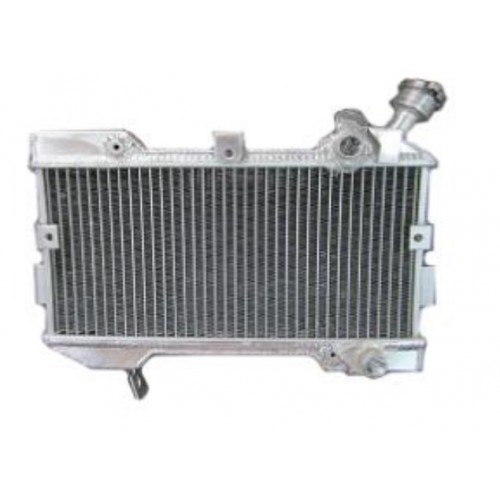 Радіатор для квадроцикла Suzuki LTR450 06-09 17710-45G00 img