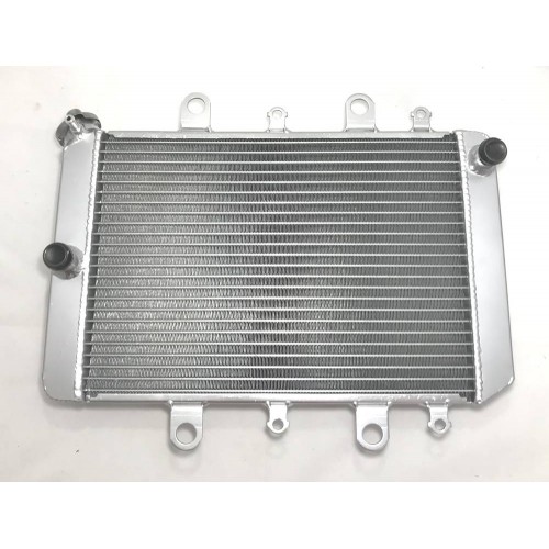 Радіатор для квадроцикла Yamaha Grizzly 550 700 Kodiak 700 2012-2020 B16-E2460-00-00 img